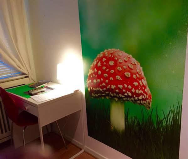 Self Check In City Hostel Nordstern Есен Екстериор снимка